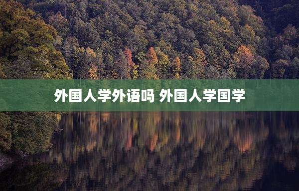 外国人学外语吗 外国人学国学