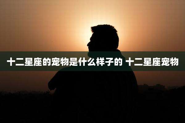 十二星座的宠物是什么样子的 十二星座宠物