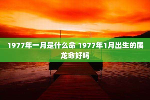 1977年一月是什么命 1977年1月出生的属龙命好吗