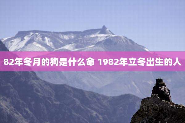 82年冬月的狗是什么命 1982年立冬出生的人