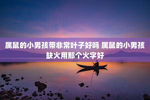 属鼠的小男孩带非常叶子好吗 属鼠的小男孩缺火用那个火字好