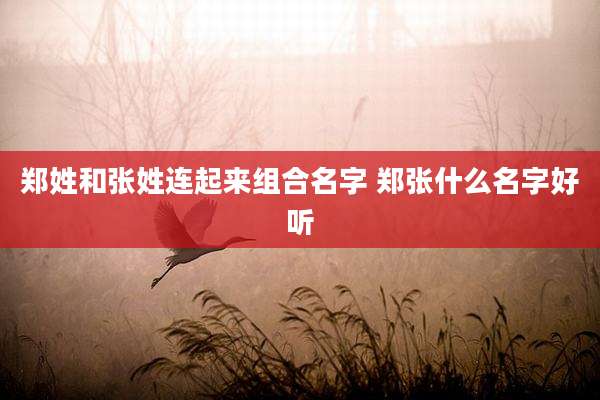 郑姓和张姓连起来组合名字 郑张什么名字好听