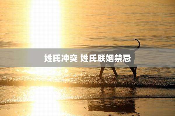 姓氏冲突 姓氏联姻禁忌