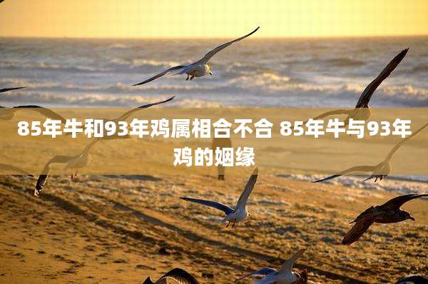 85年牛和93年鸡属相合不合 85年牛与93年鸡的姻缘