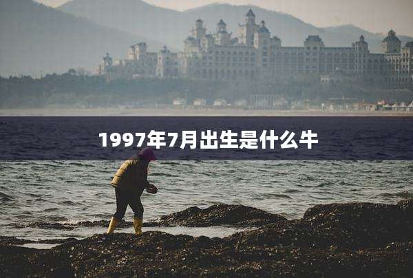1997年7月出生是什么牛