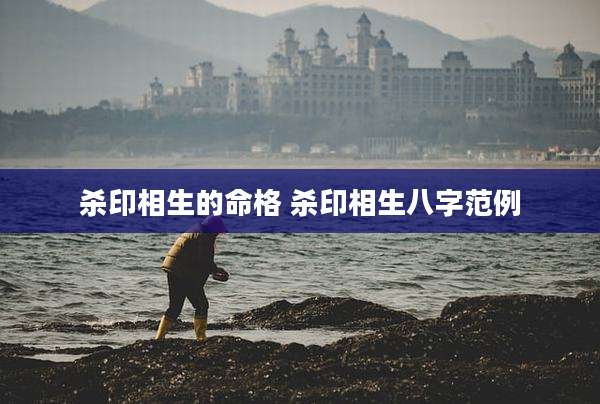 杀印相生的命格 杀印相生八字范例