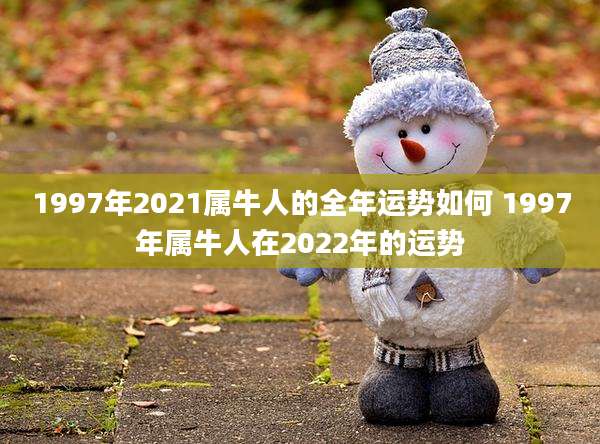 1997年2021属牛人的全年运势如何 1997年属牛人在2022年的运势