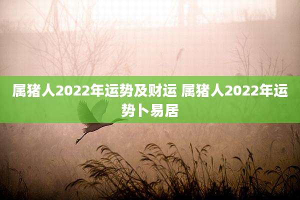 属猪人2022年运势及财运 属猪人2022年运势卜易居