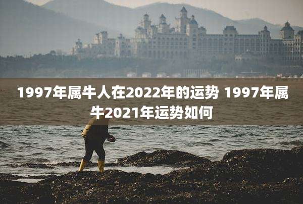 1997年属牛人在2022年的运势 1997年属牛2021年运势如何