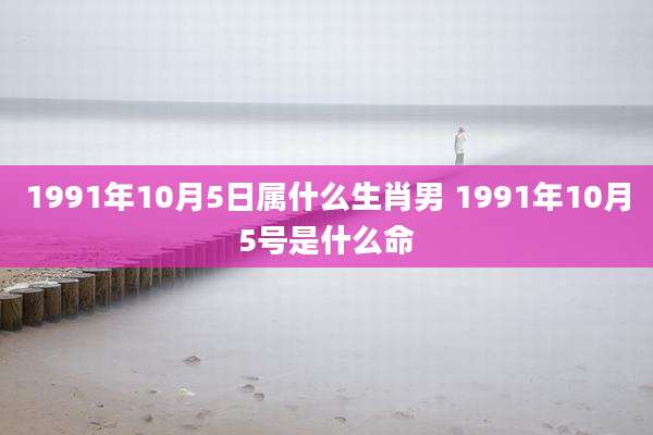 1991年10月5日属什么生肖男 1991年10月5号是什么命