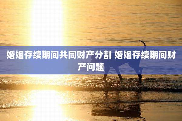 婚姻存续期间共同财产分割 婚姻存续期间财产问题