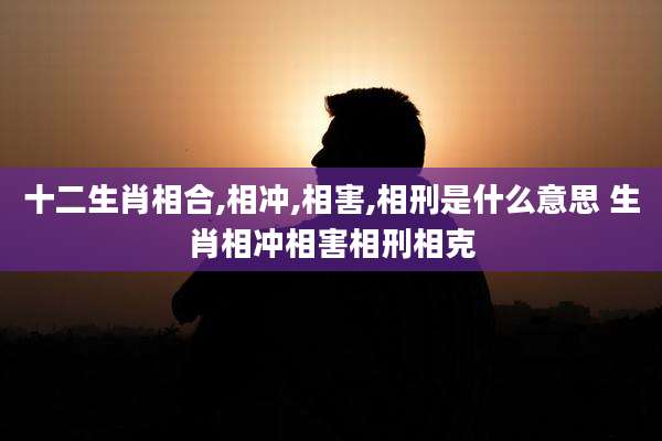十二生肖相合,相冲,相害,相刑是什么意思 生肖相冲相害相刑相克