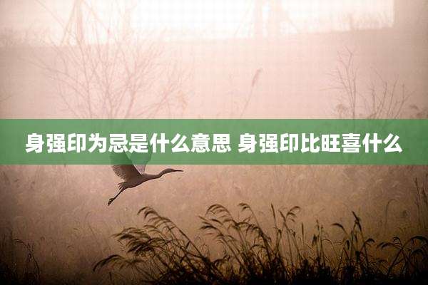 身强印为忌是什么意思 身强印比旺喜什么