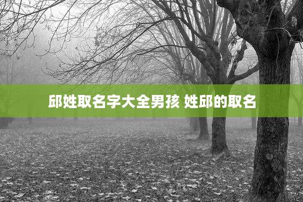 邱姓取名字大全男孩 姓邱的取名