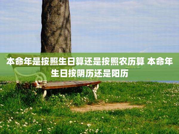 本命年是按照生日算还是按照农历算 本命年生日按阴历还是阳历