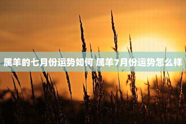 属羊的七月份运势如何 属羊7月份运势怎么样