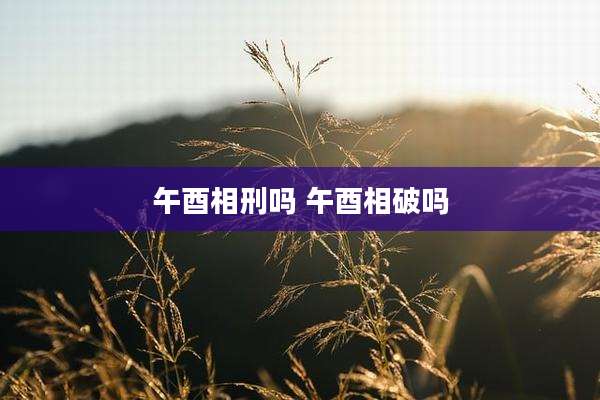 午酉相刑吗 午酉相破吗