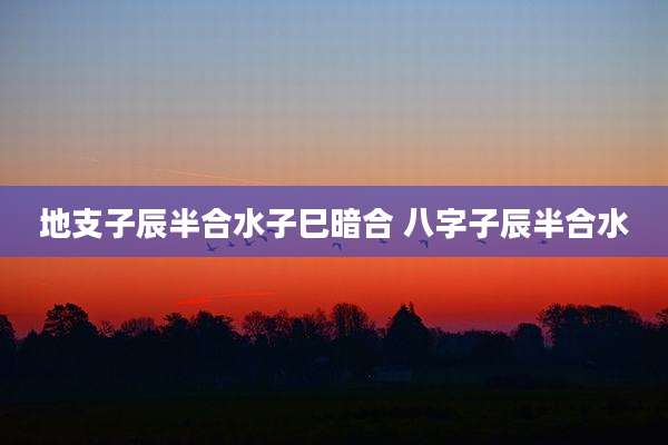 地支子辰半合水子巳暗合 八字子辰半合水