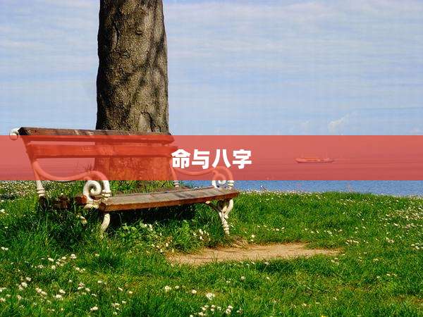 命与八字