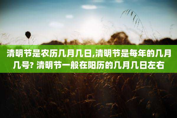 清明节是农历几月几日,清明节是每年的几月几号? 清明节一般在阳历的几月几日左右