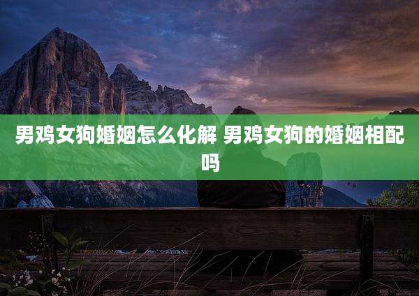 男鸡女狗婚姻怎么化解 男鸡女狗的婚姻相配吗