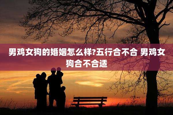 男鸡女狗的婚姻怎么样?五行合不合 男鸡女狗合不合适