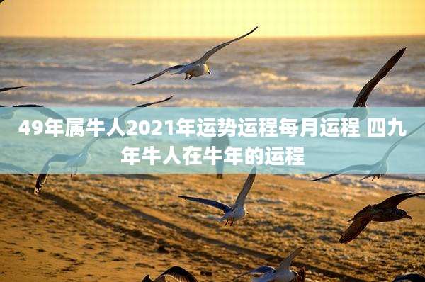 49年属牛人2021年运势运程每月运程 四九年牛人在牛年的运程
