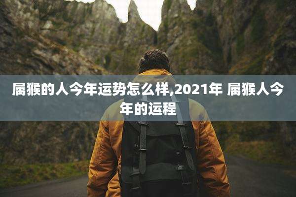 属猴的人今年运势怎么样,2021年 属猴人今年的运程