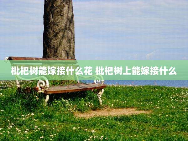枇杷树能嫁接什么花 枇杷树上能嫁接什么