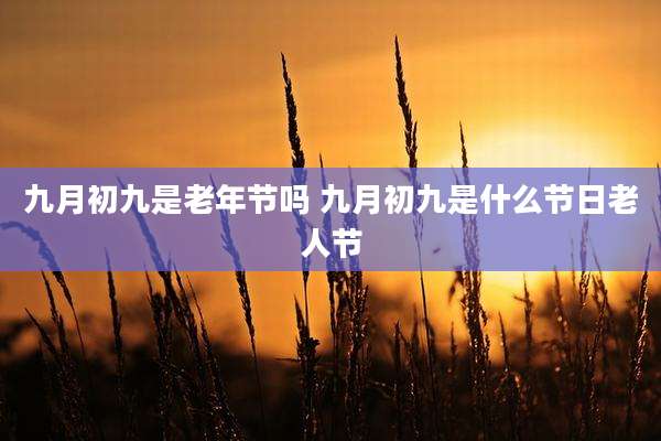九月初九是老年节吗 九月初九是什么节日老人节