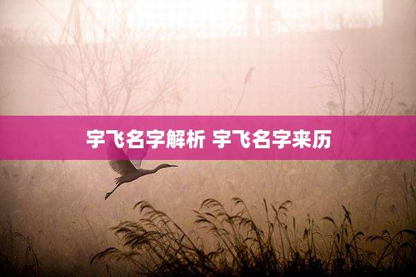 宇飞名字解析 宇飞名字来历
