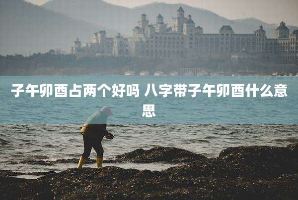 子午卯酉占两个好吗 八字带子午卯酉什么意思