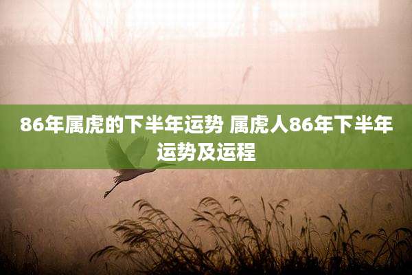 86年属虎的下半年运势 属虎人86年下半年运势及运程
