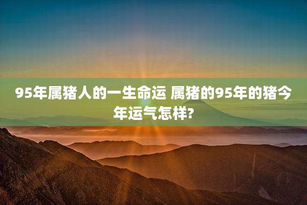 95年属猪人的一生命运 属猪的95年的猪今年运气怎样?