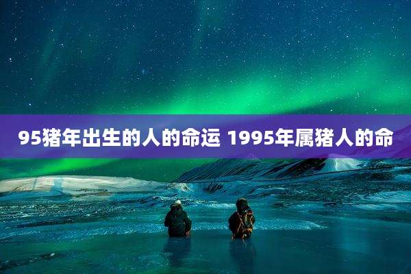 95猪年出生的人的命运 1995年属猪人的命
