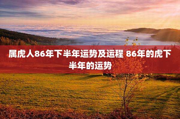 属虎人86年下半年运势及运程 86年的虎下半年的运势