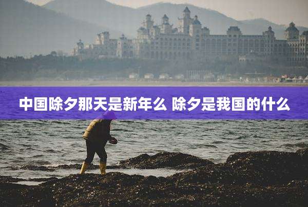 中国除夕那天是新年么 除夕是我国的什么