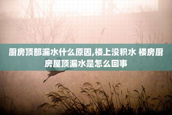 厨房顶部漏水什么原因,楼上没积水 楼房厨房屋顶漏水是怎么回事