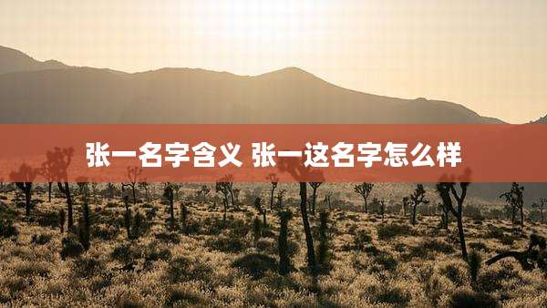 张一名字含义 张一这名字怎么样