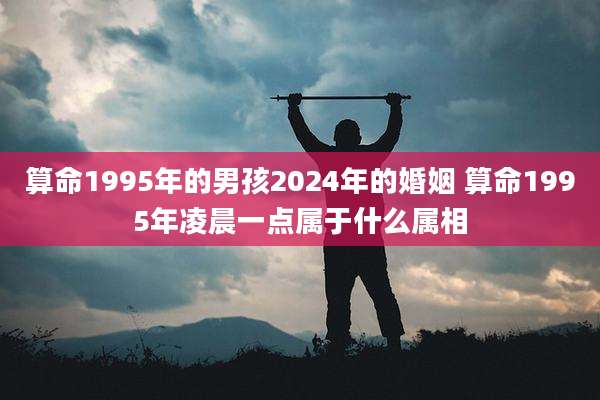 算命1995年的男孩2024年的婚姻 算命1995年凌晨一点属于什么属相