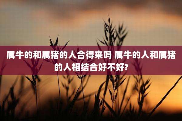 属牛的和属猪的人合得来吗 属牛的人和属猪的人相结合好不好?