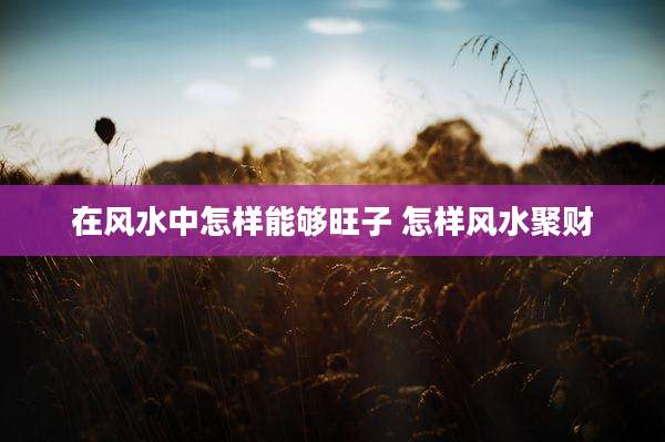 在风水中怎样能够旺子 怎样风水聚财
