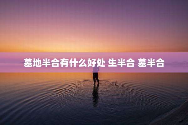 墓地半合有什么好处 生半合 墓半合