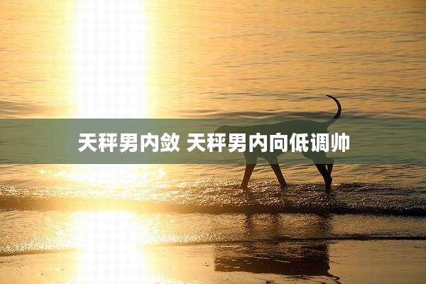 天秤男内敛 天秤男内向低调帅