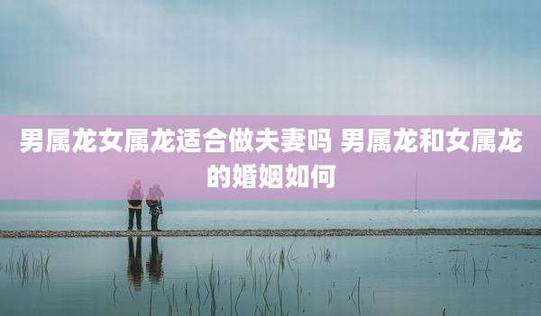 男属龙女属龙适合做夫妻吗 男属龙和女属龙的婚姻如何