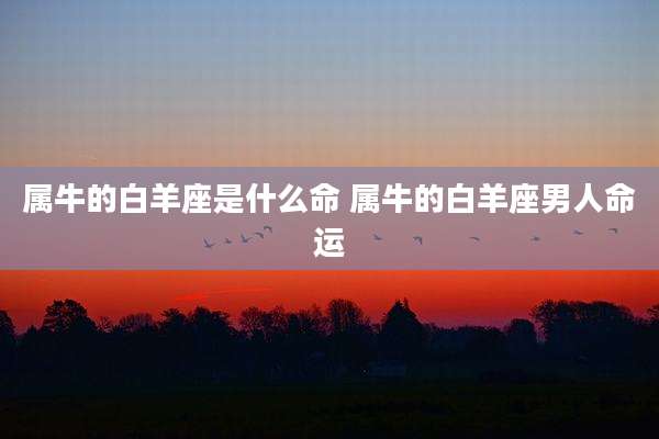 属牛的白羊座是什么命 属牛的白羊座男人命运