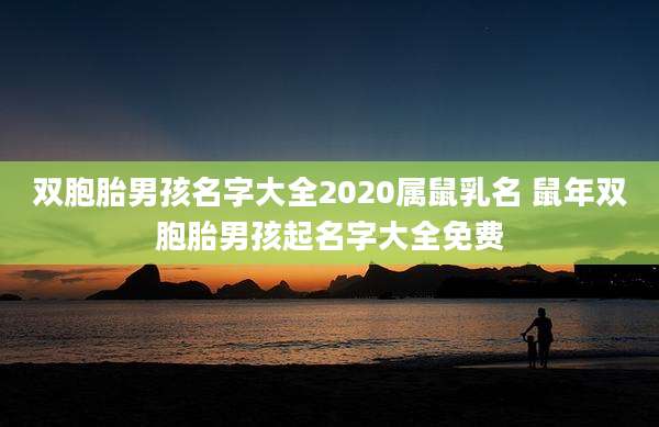 双胞胎男孩名字大全2020属鼠乳名 鼠年双胞胎男孩起名字大全免费
