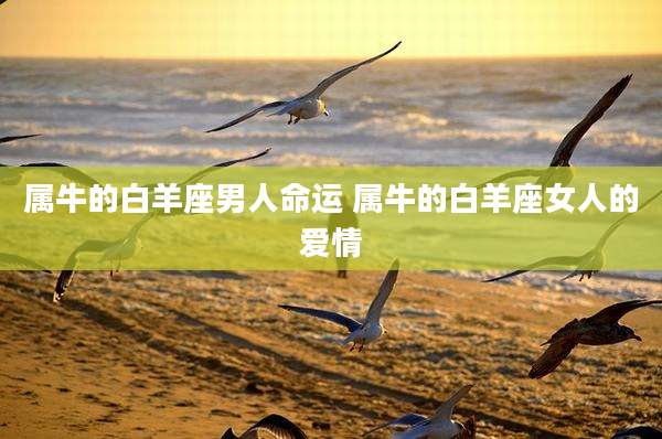 属牛的白羊座男人命运 属牛的白羊座女人的爱情