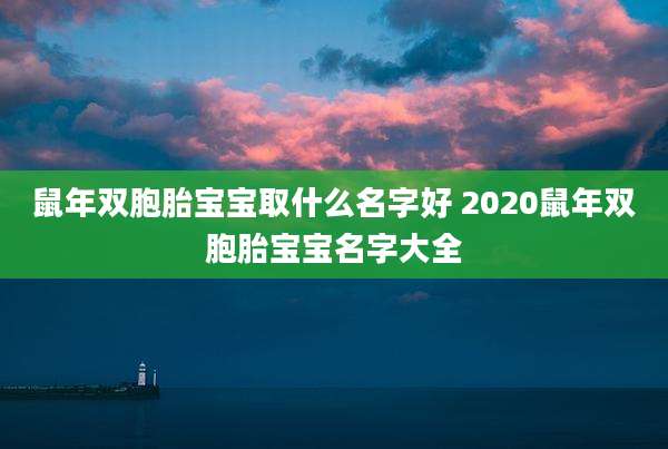 鼠年双胞胎宝宝取什么名字好 2020鼠年双胞胎宝宝名字大全