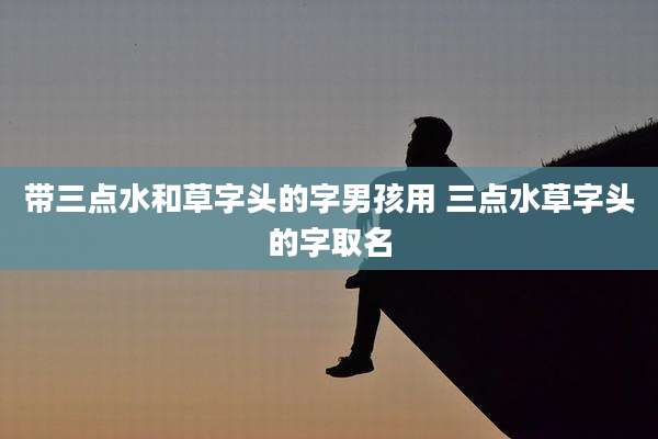 带三点水和草字头的字男孩用 三点水草字头的字取名